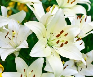 C9CC665C-9B10-43B3-8C2D-3B7094785E24